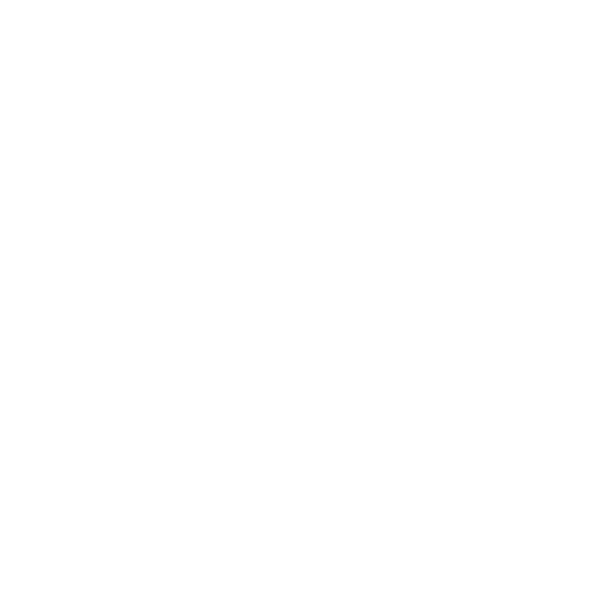ICEJET